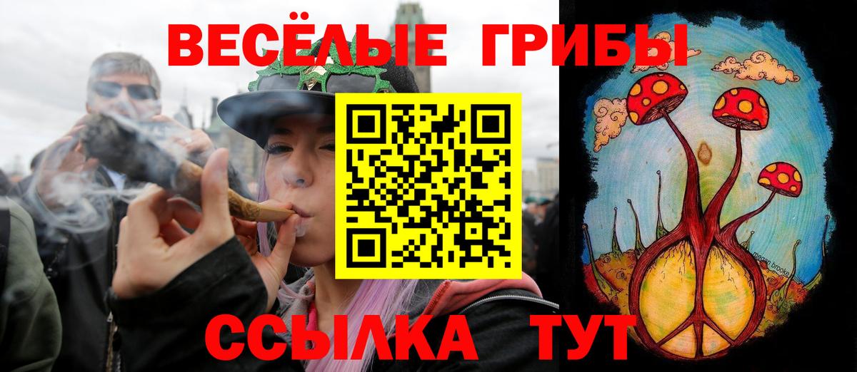 Псилоцибиновые грибы GOLDEN TEACHER  Вход с VPN  Анапа 